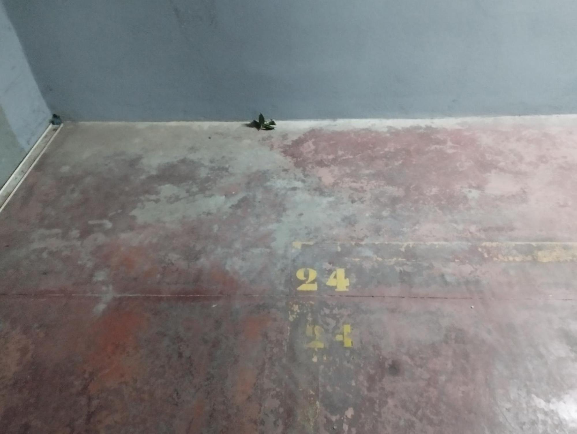 Appartement Barcelo 30, Terrace, Center, Garage On Request, Quite Neighborhood, Ba Málaga